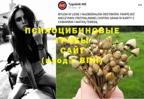 мдма Медногорск