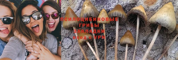 мдма Медногорск